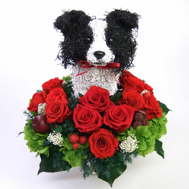 ボーダーコリーグッズ