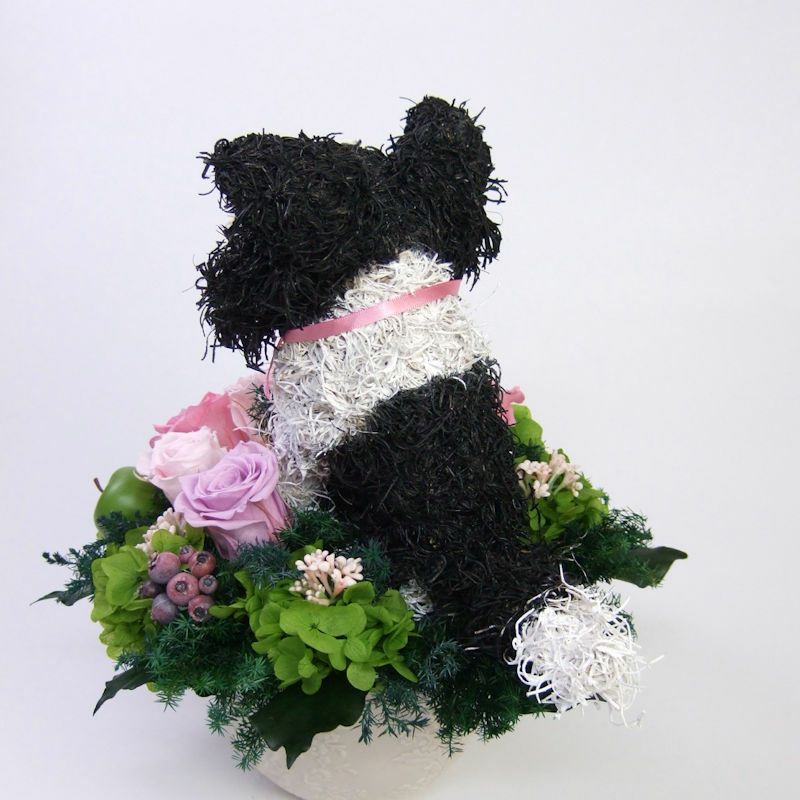 ボーダーコリーグッズ　高級