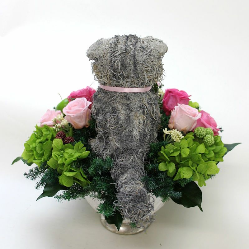 猫花アレンジ