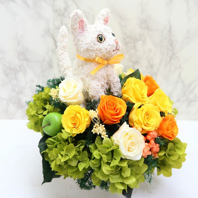 白猫　フラワー