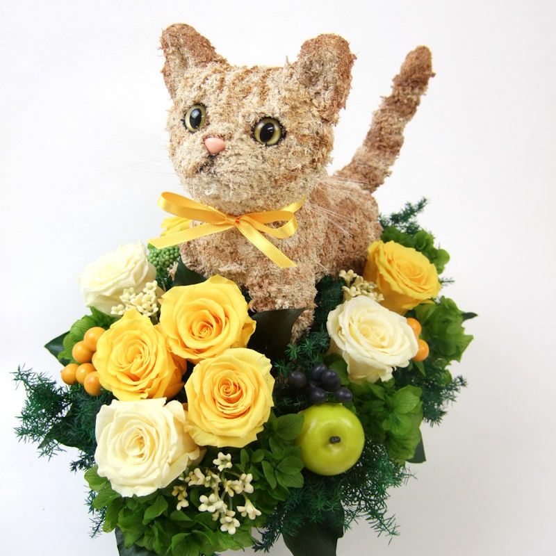 猫好きの人へプレゼント