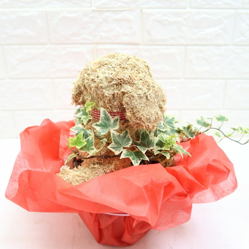 犬好き母へプレゼント