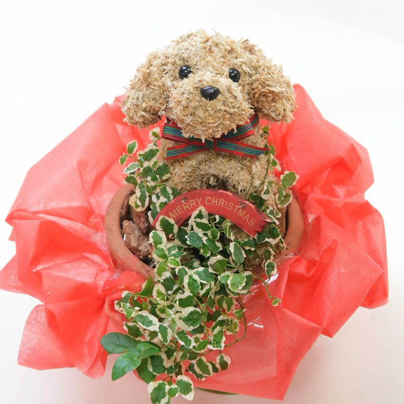 クリスマスプレゼント　犬