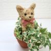 トピアリー　猫
