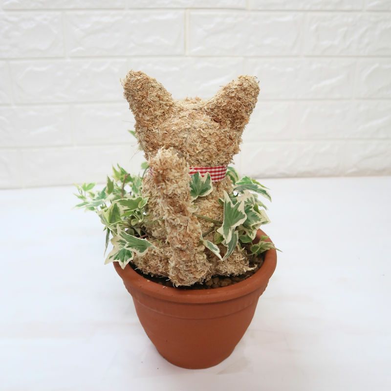 猫好きプレゼント