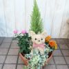 猫のトピアリー　寄せ植え