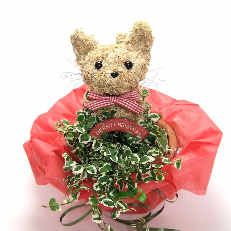 クリスマスプレゼント　猫