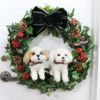 愛犬家クリスマスリース