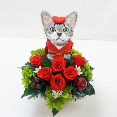 還暦祝い猫 猫好き アメリカンショートヘア プリザーブドフラワー｜アトリエ花倶楽部