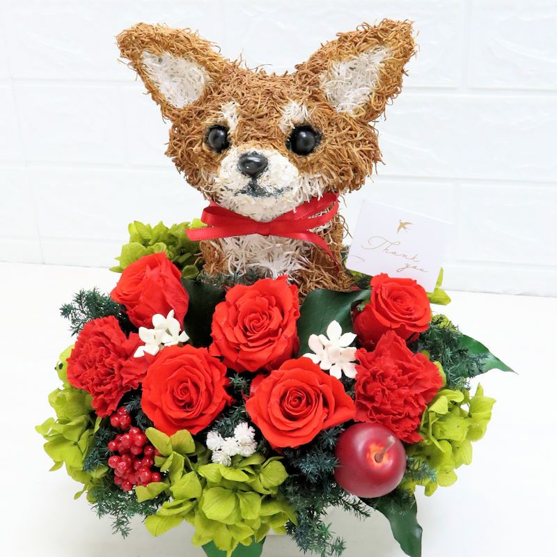 母の日ギフト　犬花