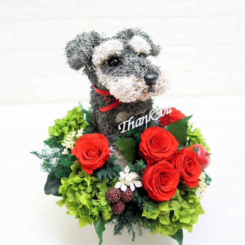 シュナウザー　プレゼント