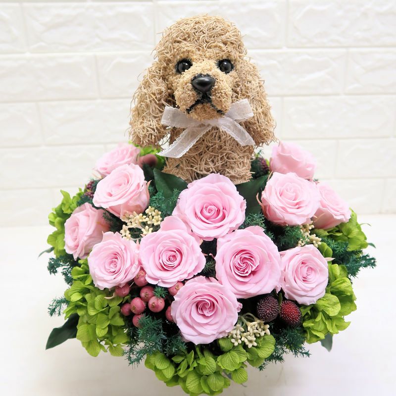 Aya.flower　アメリカンコッカースパニエル アメリカンコッカースパニエルのプリザーブドフラワーアレンジBeauty