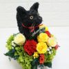 黒猫　フラワーギフト