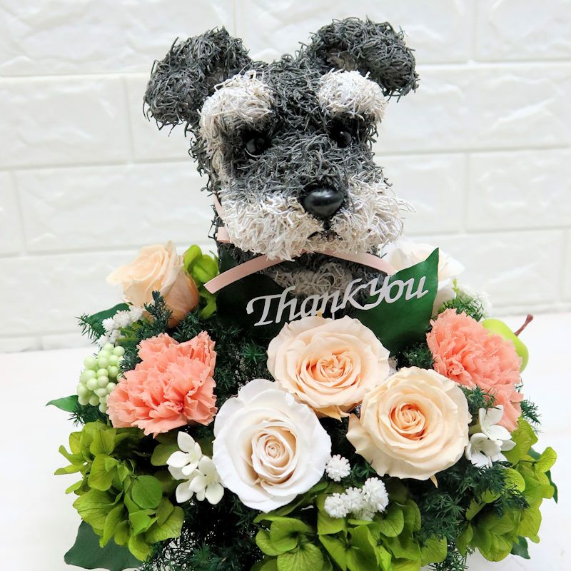 母の日ギフト　犬