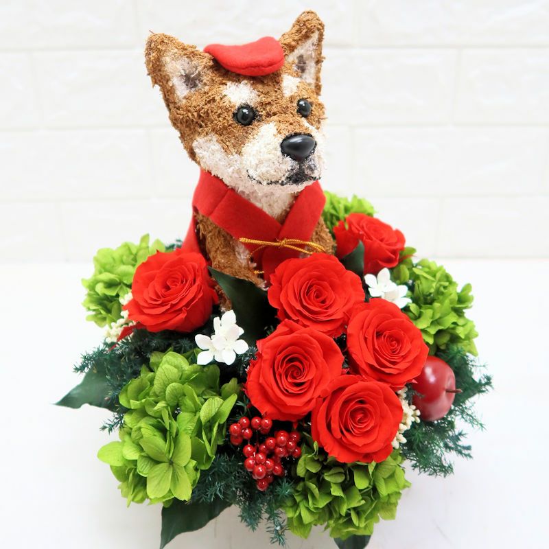 誕生日プレゼント　柴犬