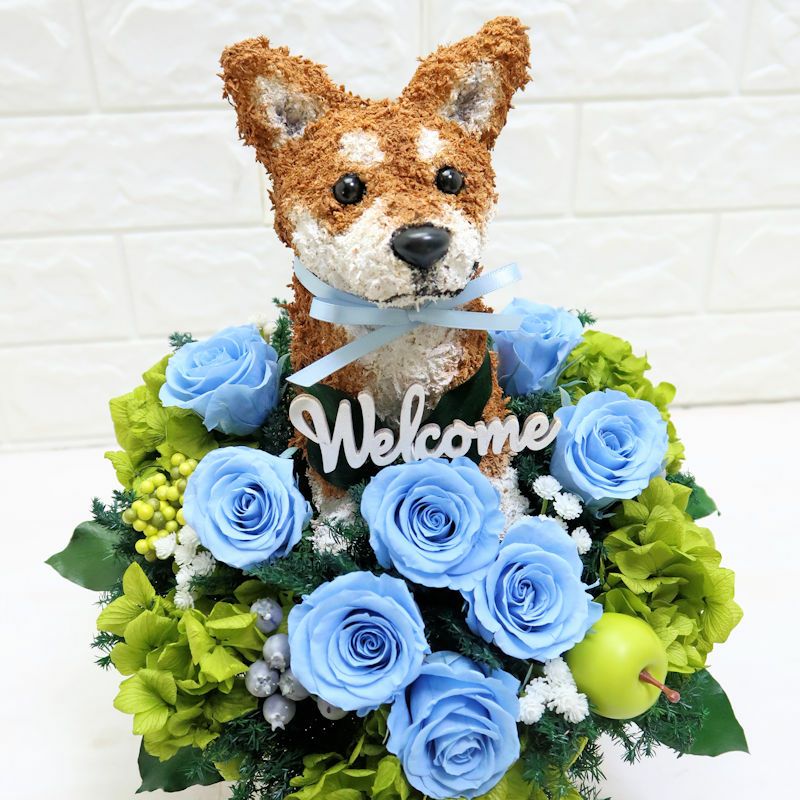 開店祝い　犬花