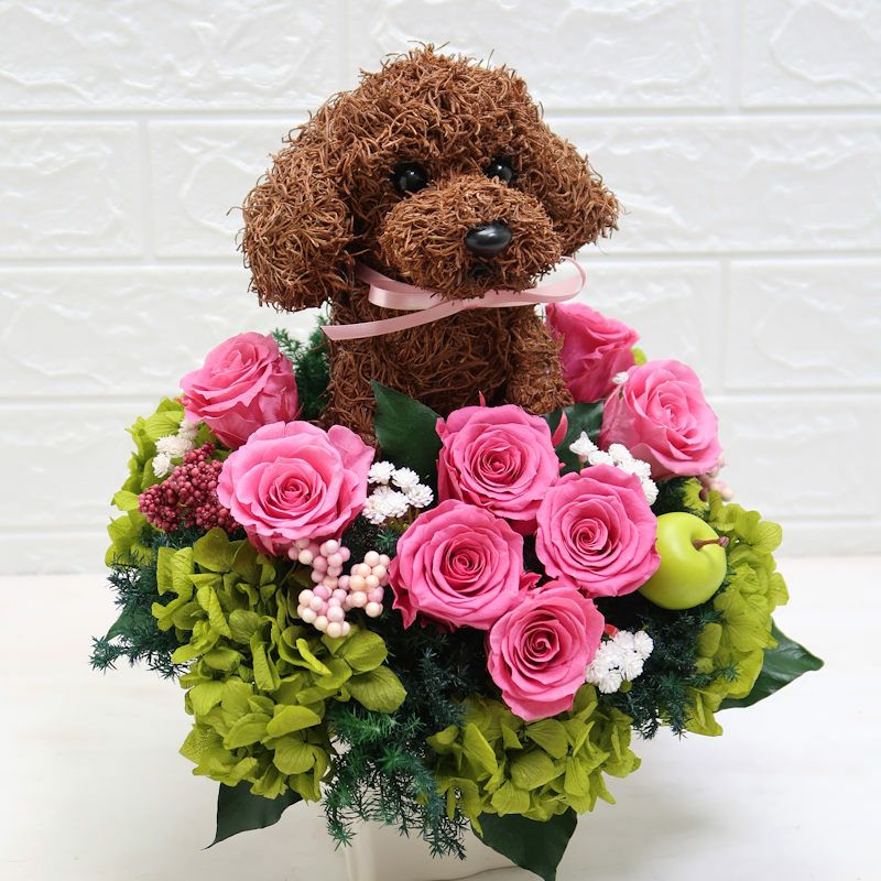 トイプードルグッズ　プレゼント