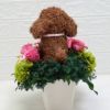 プリザーブドフラワーアレンジ犬