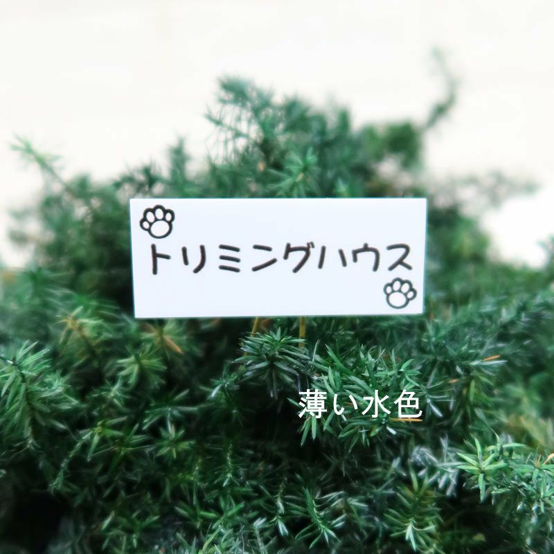 トリミングサロン開店祝いにお店の名前プレート