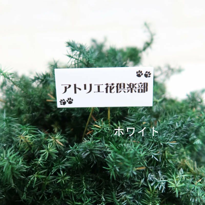 開店祝いにお店の名前プレート