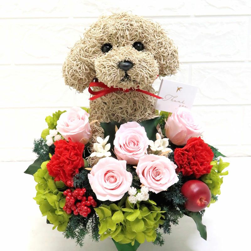 犬花　母の日