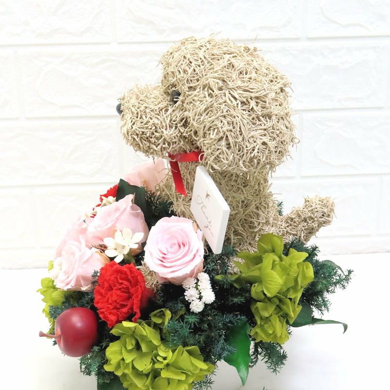 母の日フラワーギフト　プードル