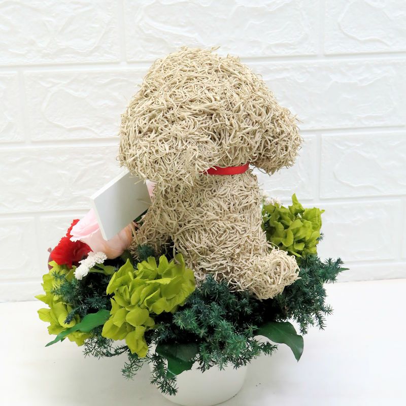 プードル好きプレゼント