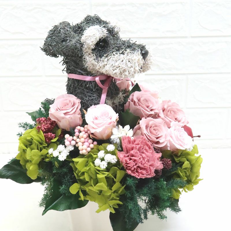 シュナウザー花