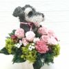 シュナウザー花