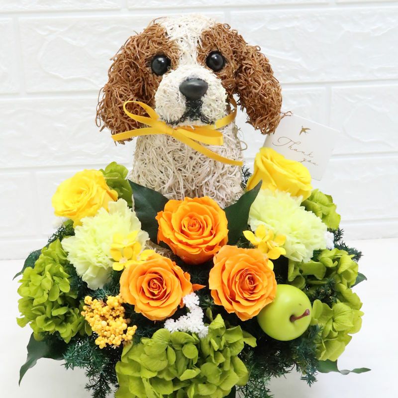 キャバリアグッズ　プレゼント