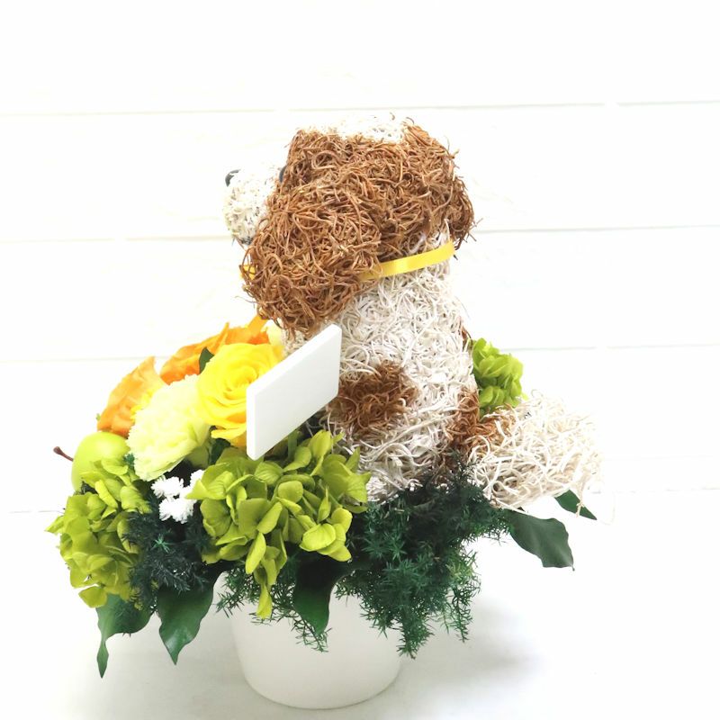 キャバリア好き　母の日