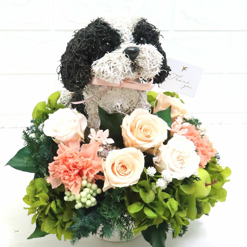 シーズー犬グッズプレゼント