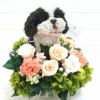 シーズー犬グッズプレゼント