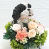 犬花