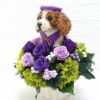犬花