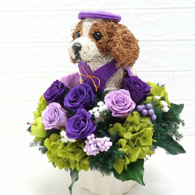 犬花