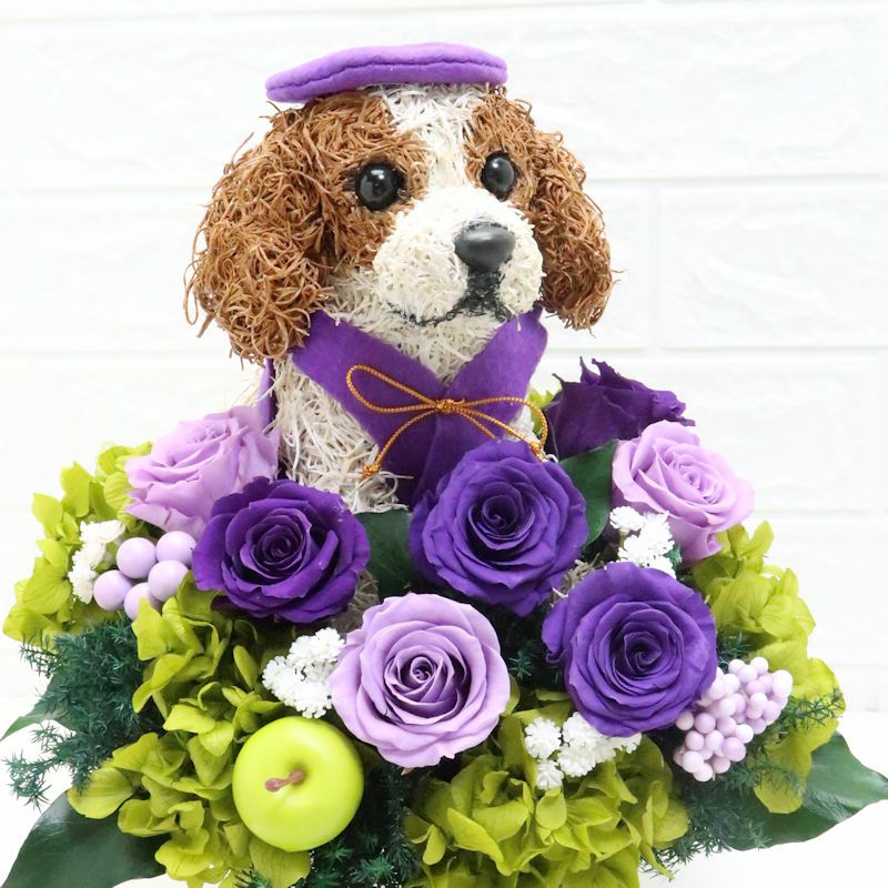 アニマルフラワー