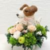 犬花