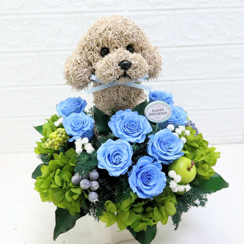 トイプードルプレゼント 誕生日