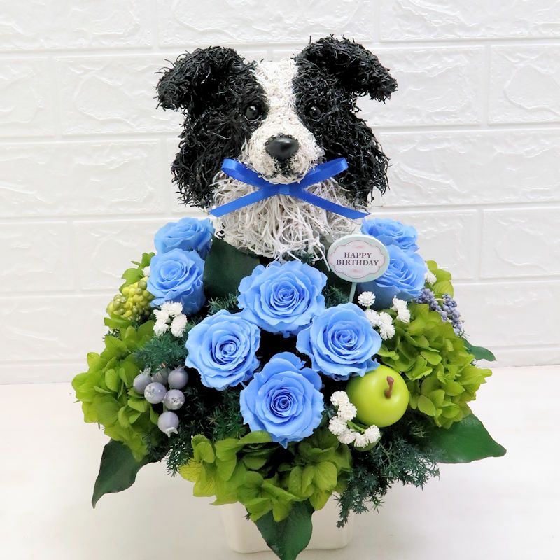 ボーダーコリーグッズ プレゼント