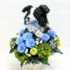 犬花