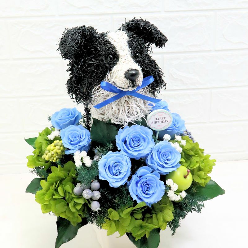 犬好き誕生日プレゼント