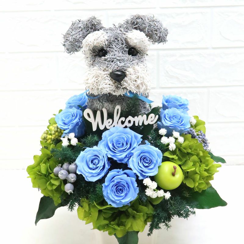 トリミングサロン開店祝い