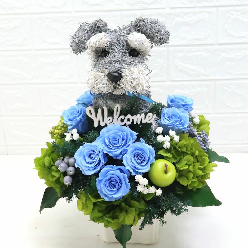 シュナウザーグッズ　プレゼント