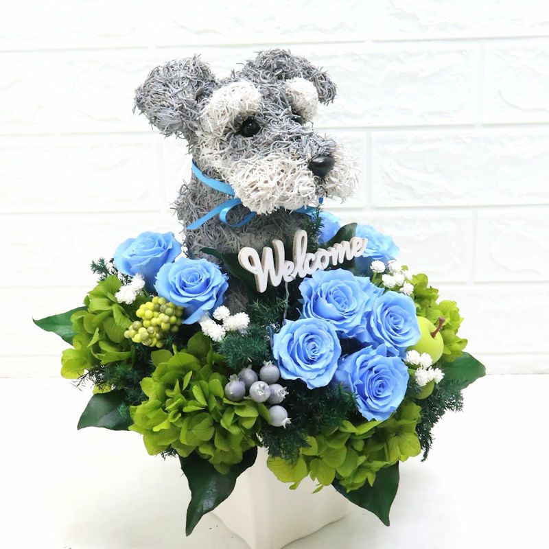 ペットサロン開店祝い