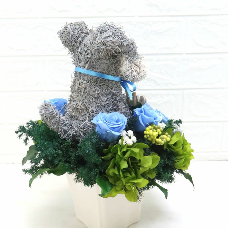 シュナウザー花