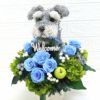 犬花