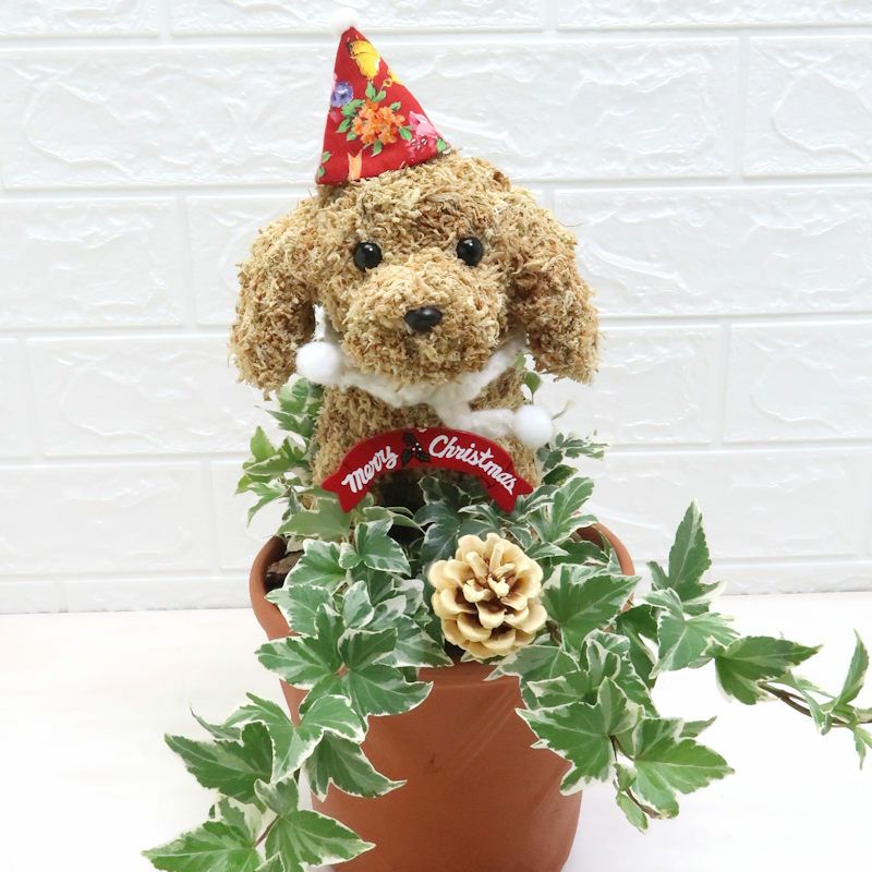 クリスマスプレゼント　犬