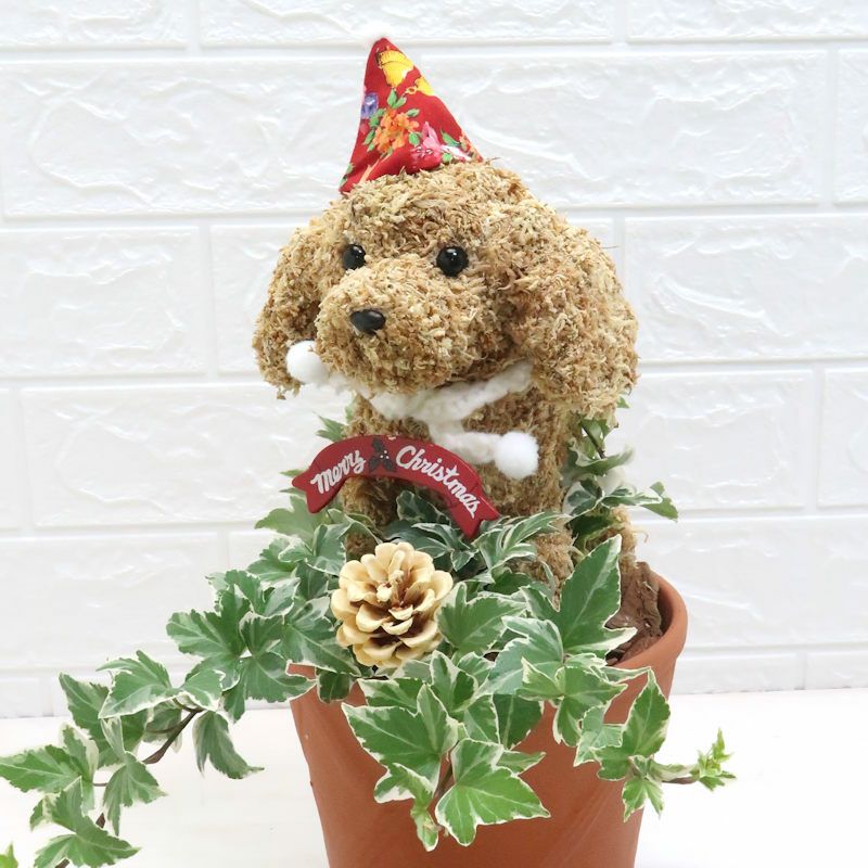 犬好きクリスマスプレゼント