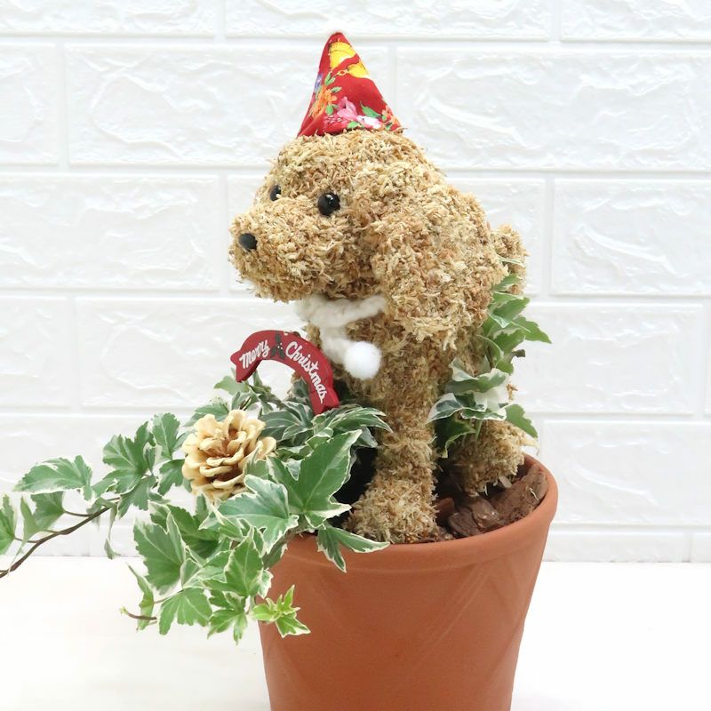 トピアリー犬　クリスマス